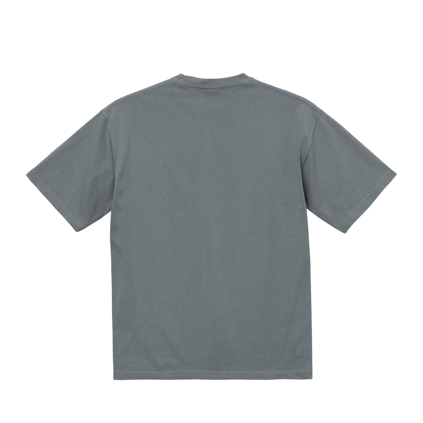 moto-SE RE:RHINO Tee stone-green image