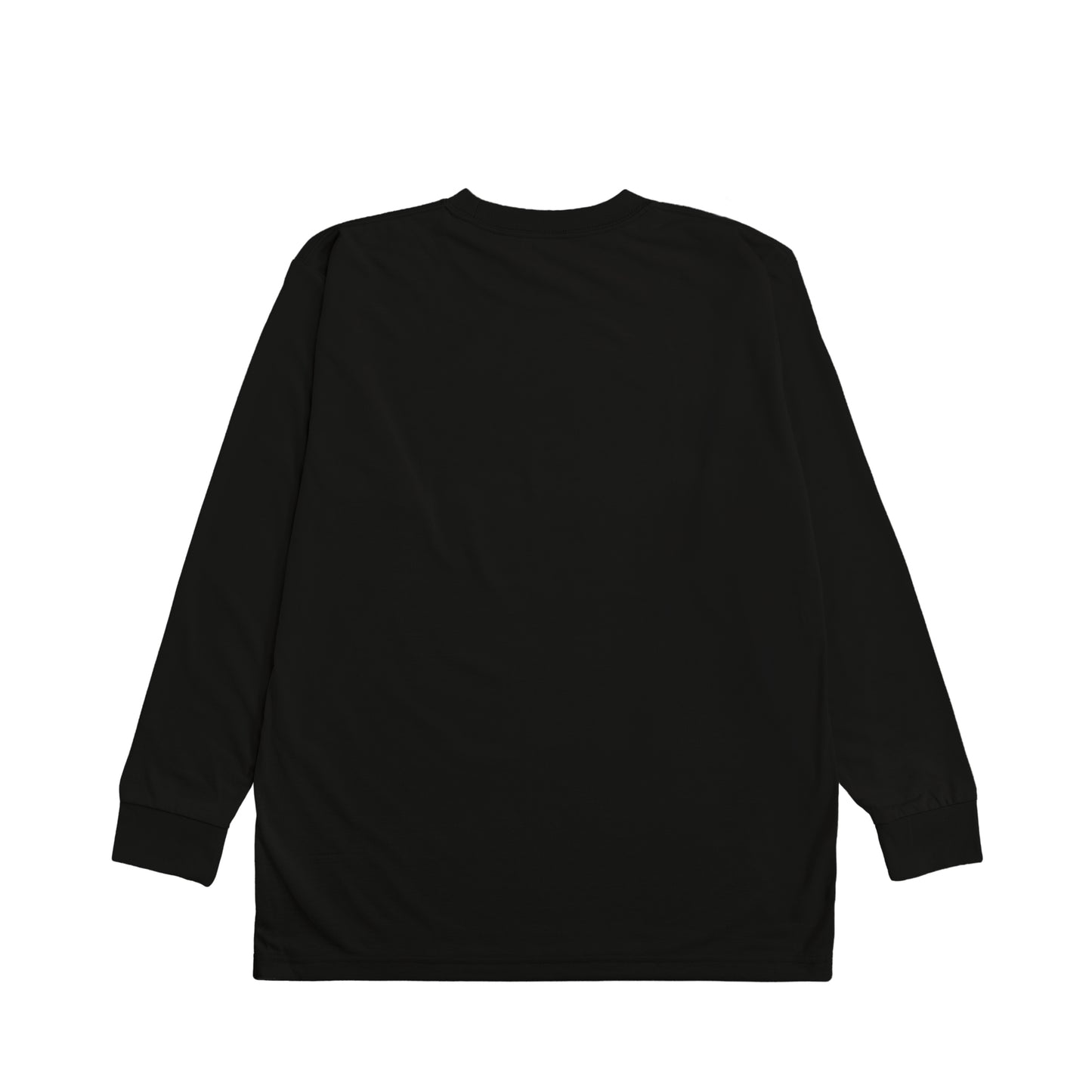 CALM HUMAN 004 – INSIGHT Heavyweight Long Sleeve Tee black image