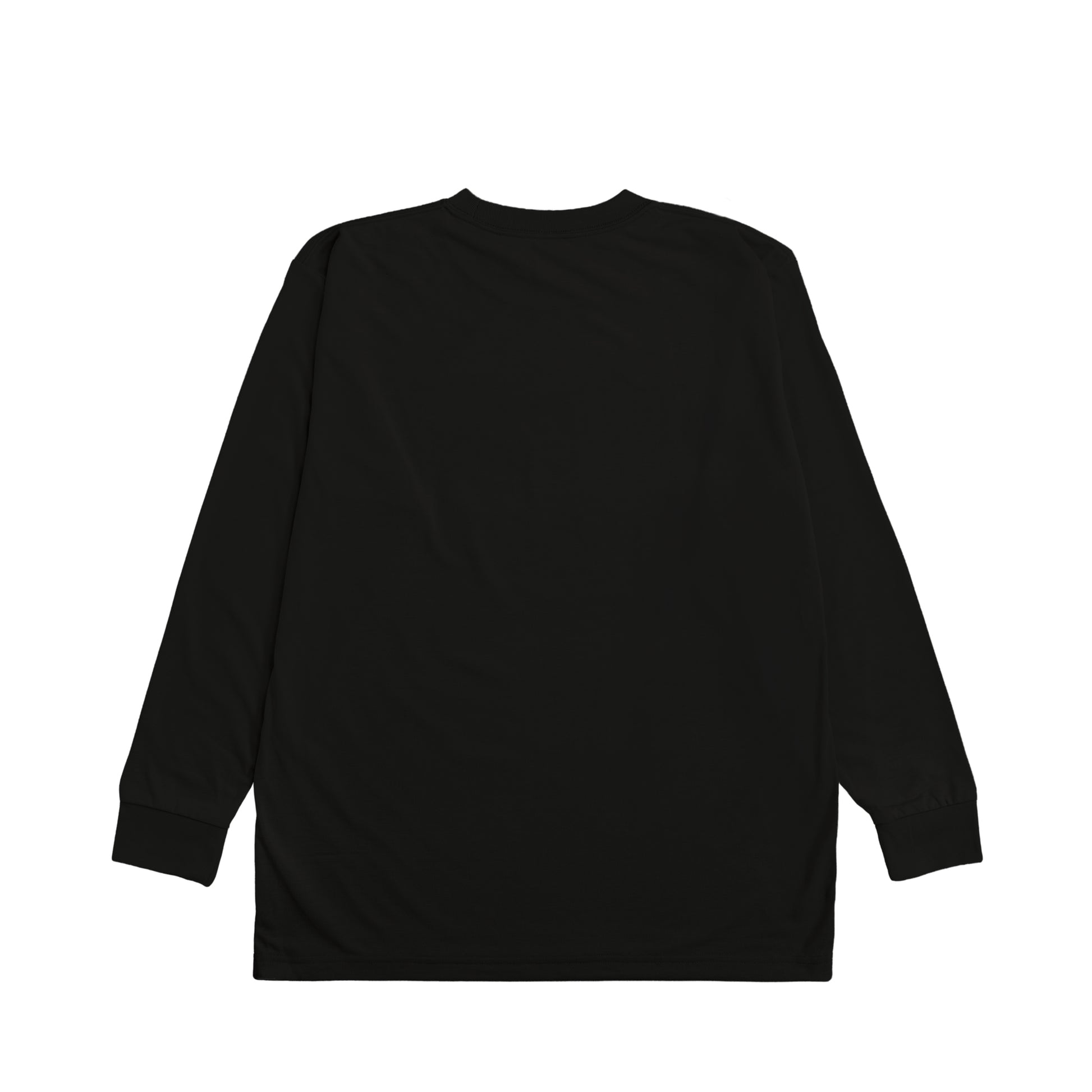 CALM HUMAN 004 – INSIGHT Heavyweight Long Sleeve Tee black image