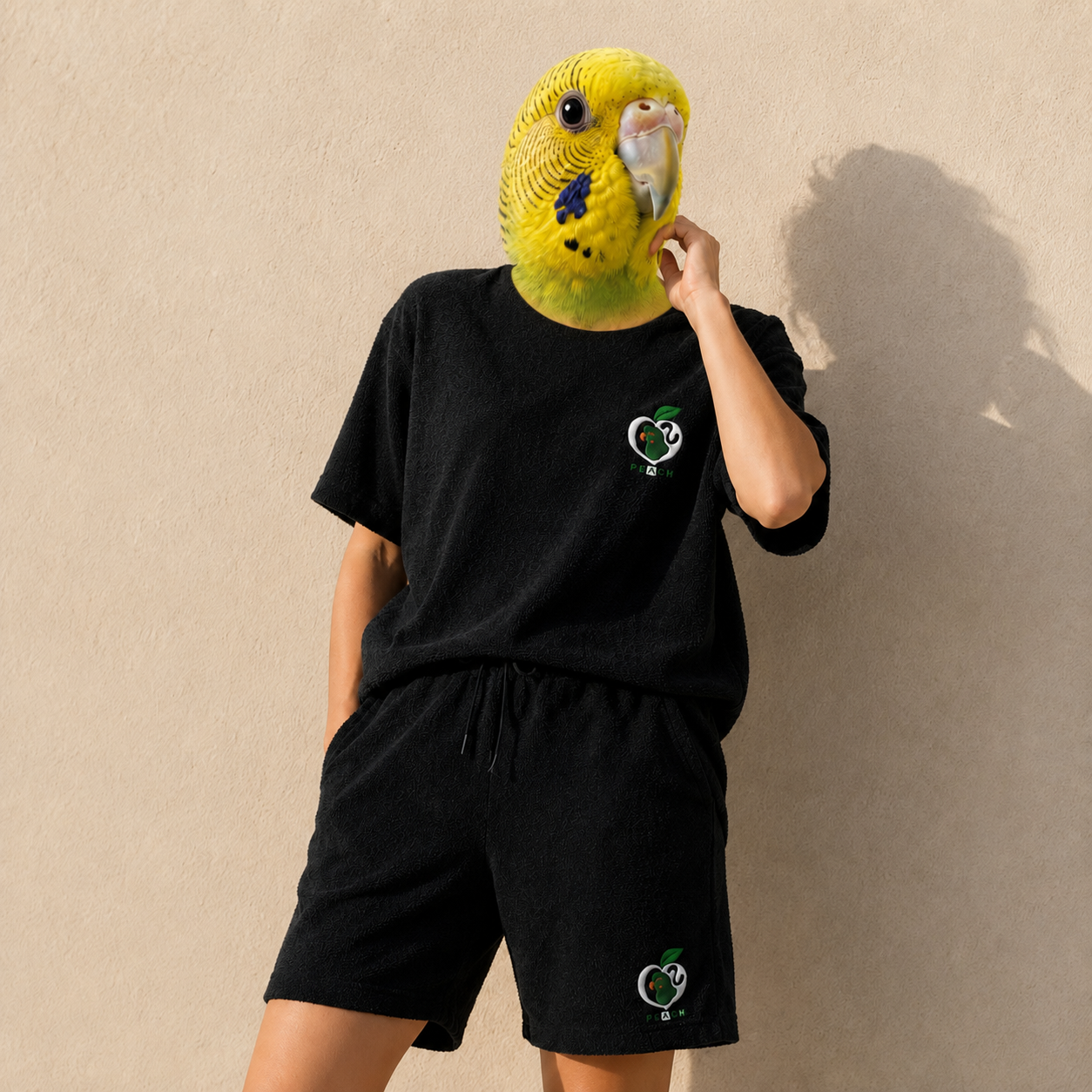 SOBI PEACH Bird Emblem Pile Set【Tee】